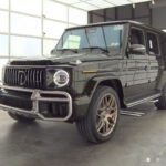 G-Class W465 front guard bull bar with sensor holes